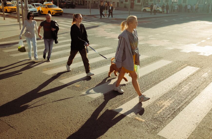 Pierwszeństwo pieszych: kiedy i gdzie pieszy ma pierwszeństwo.